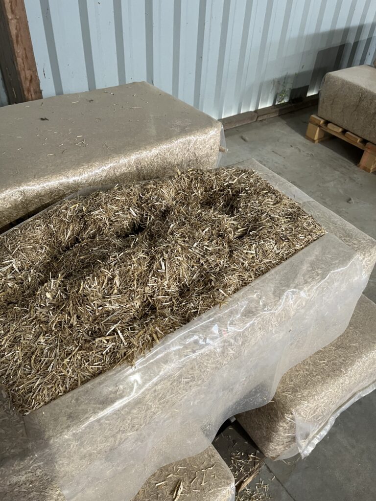 ballot de 13kg